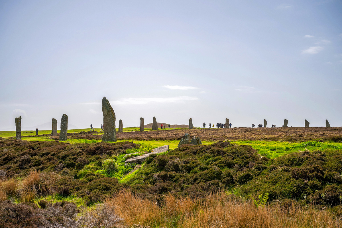 The Ring of Brodgar standing stones in Orkney seen across heather, with visitors walking around the circle