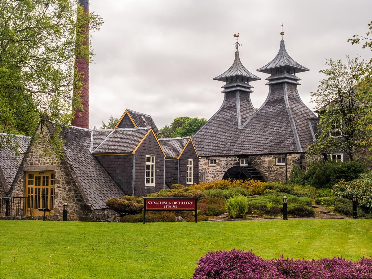 Strathisla Distillery in Keith with its distinctive twin pagodas, waterwheel, and manicured lawn with heather in the foreground