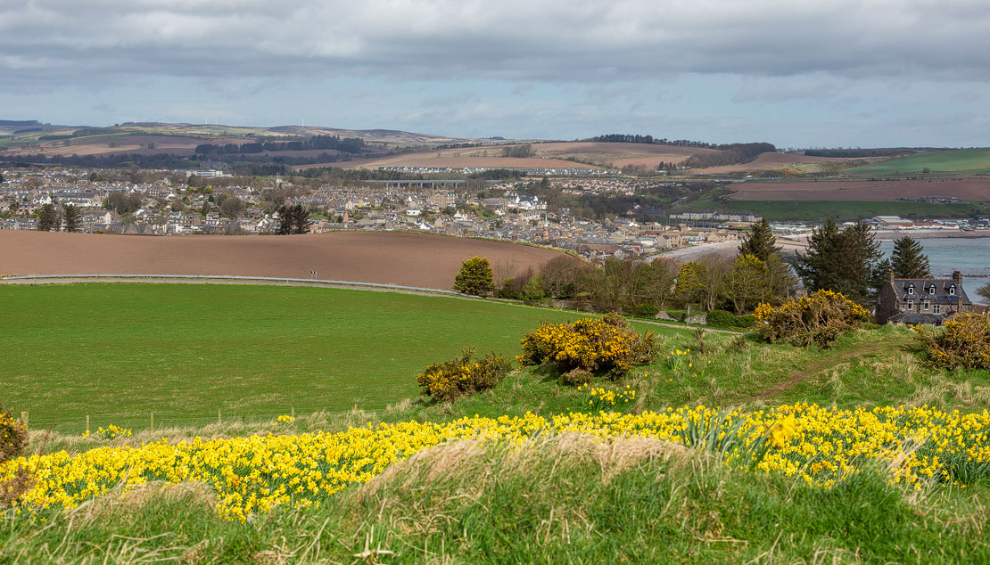 Stonehaven