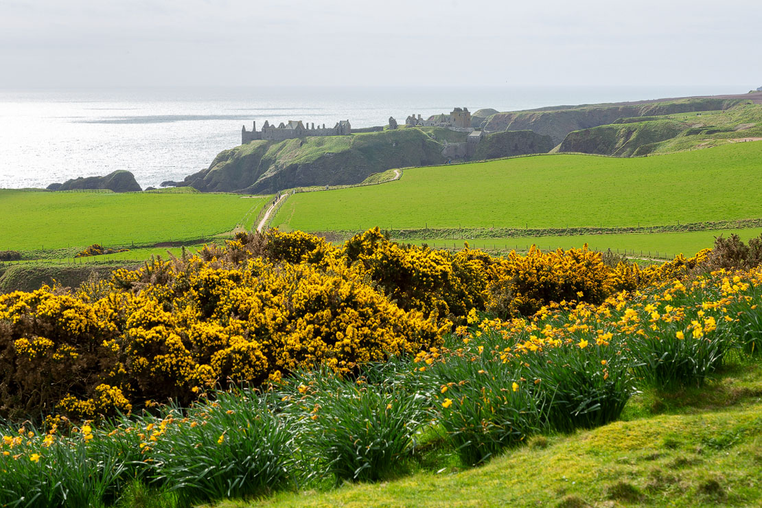 View of Dunnottar Castle from Stonehaven War Memorial.