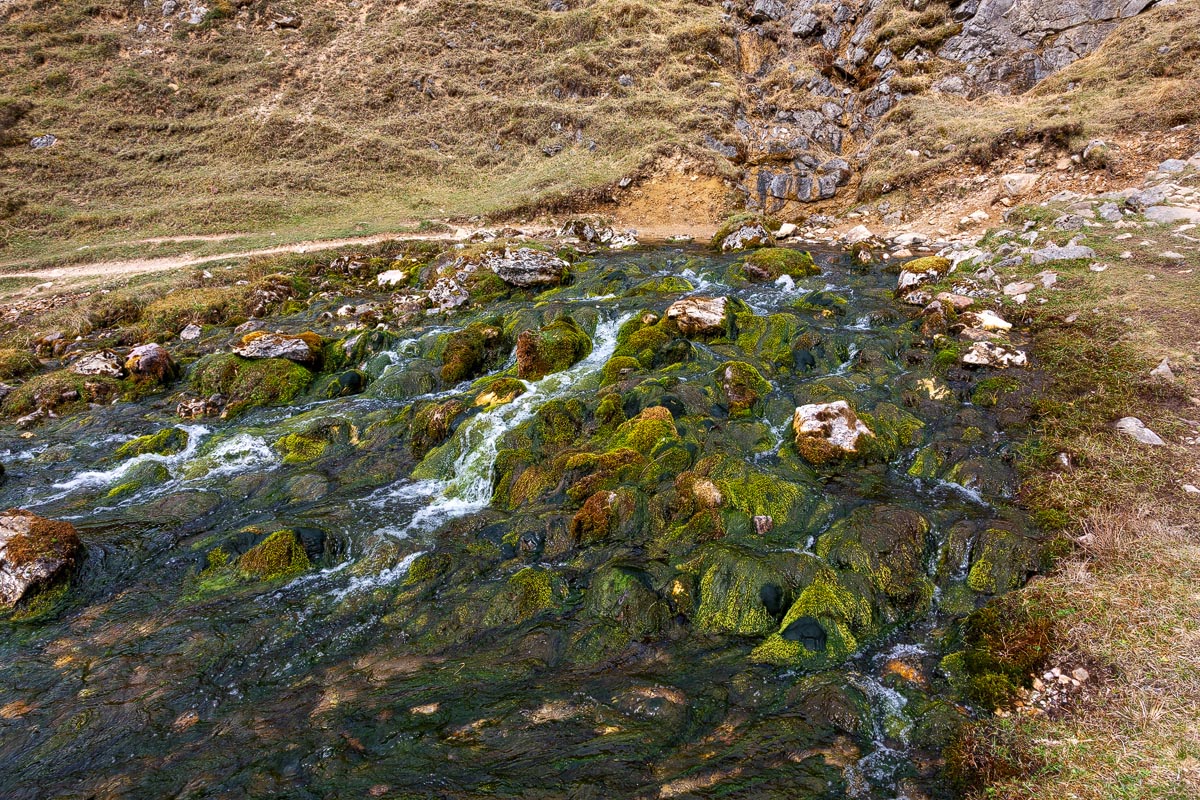 Close-up view of the natural spring at Inchnadamph with crystal clear water cascading over mossy limestone