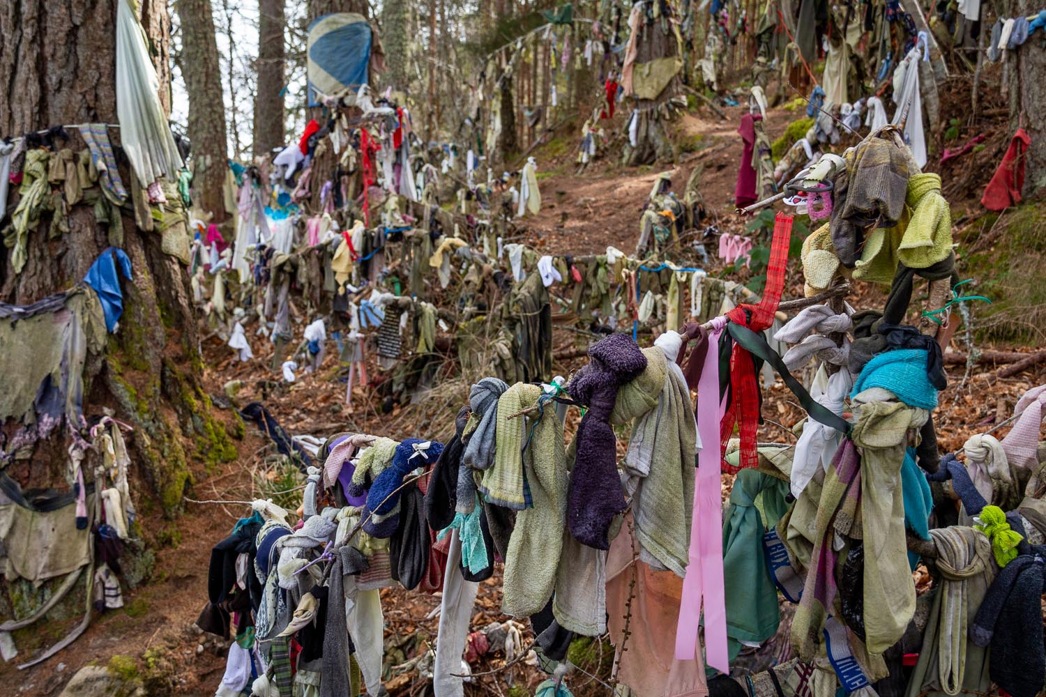 The Clootie Well, Munlochy – Ancient Celtic Healing Well on the Black Isle