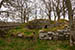 Article preview photo of Dunbeath Broch