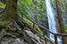 Article preview photo of A visit Plodda Falls, a 46 metre high waterfall